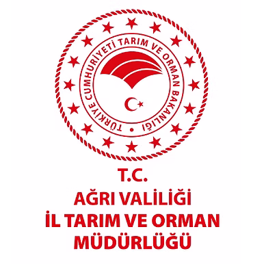 Çelik Ağ,Mesh Çelik Ağ,Mesh Çelik,Çelik Mesh,Çelikmesh