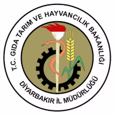 Çelik Ağ,Çelikağ,Mesh Çelik Ağ,Meshçelik,Çelik Mesh